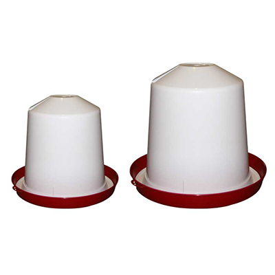 Jeden Tag frische Eier? Halten Sie Hühner im Hinterhof!